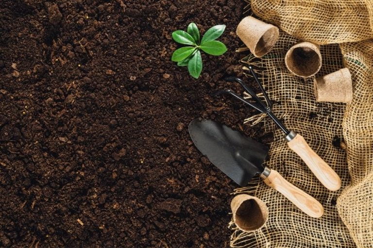 Prepare Soil for Gardening - 5 Steps in Land Preparation