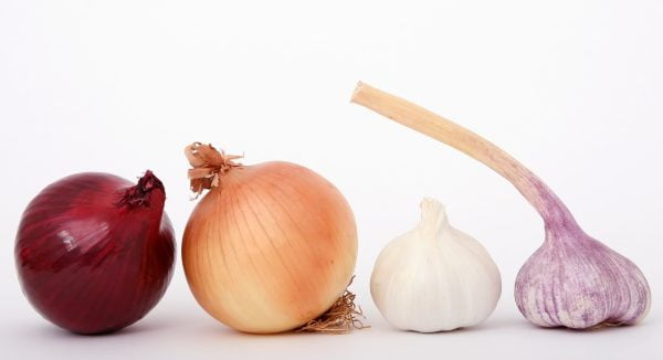different types of onion
