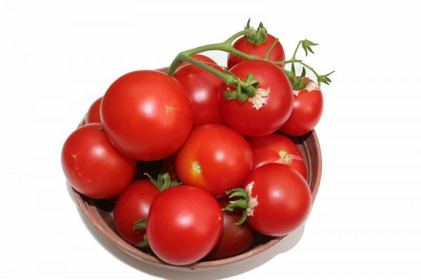 grow tomatoes