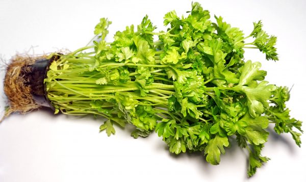 grow parsley at home