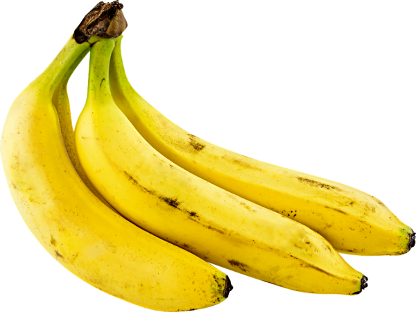 how to grow bananas