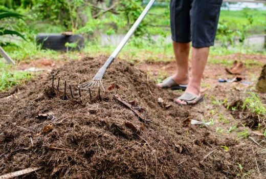 Adding organic soil fertilizer