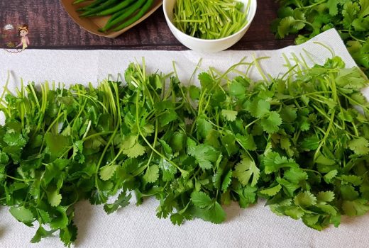 What is the best way to freeze cilantro?