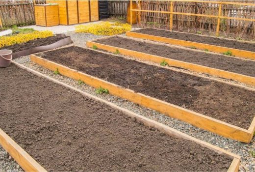 Newly Built Raised Vegetable Beds, Empty Beds with Prepared Soil