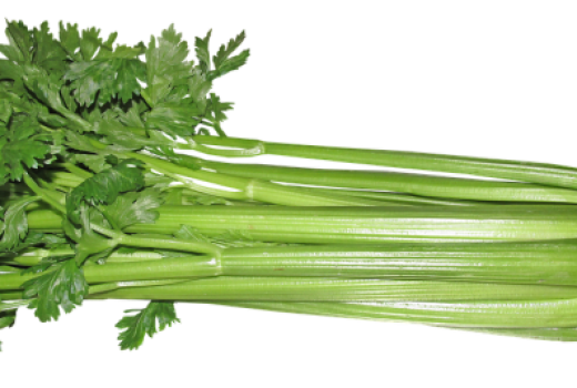 celery-production