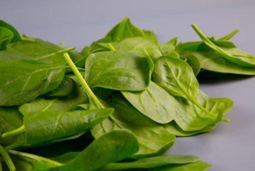 spinach-production