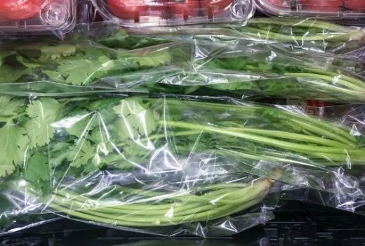 storing cilantro in plastic